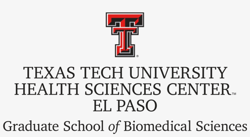 New User Click Here To Register - Texas Tech University, transparent png #472520