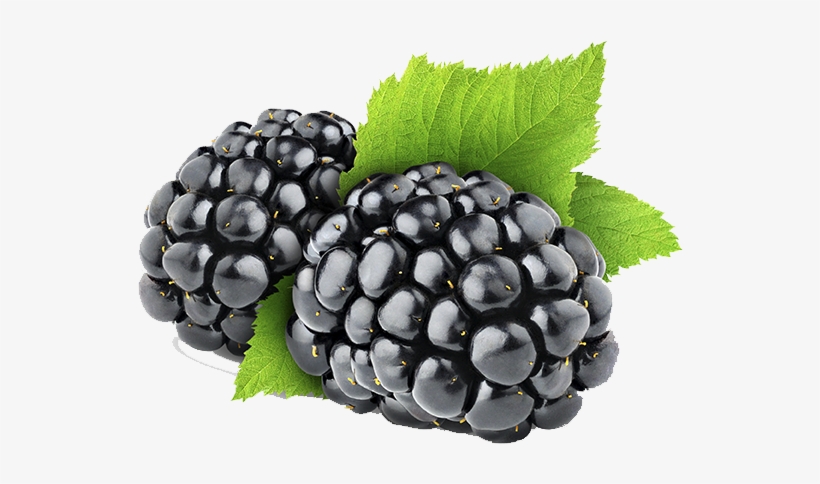 Blackberry Png - Blackberries Png, transparent png #473163