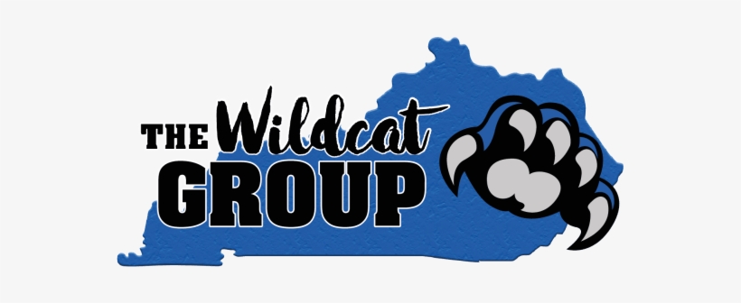 Wildcat Auto Repair - Wildcat Pressure Washing, transparent png #473770