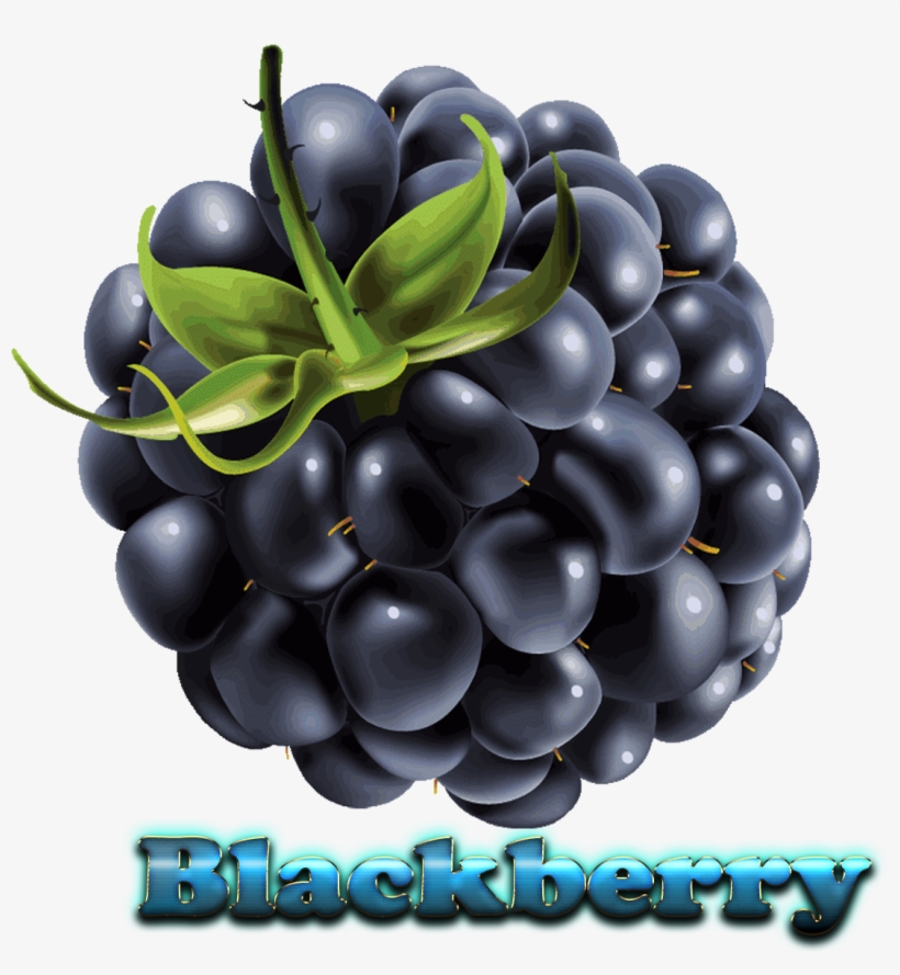 Blackberry Free Download Png, transparent png #473990