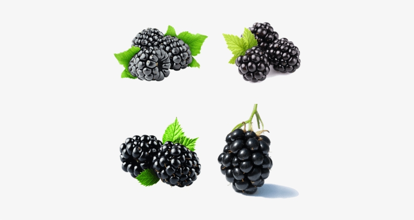 Blackberry Phone And Fruit, transparent png #474017