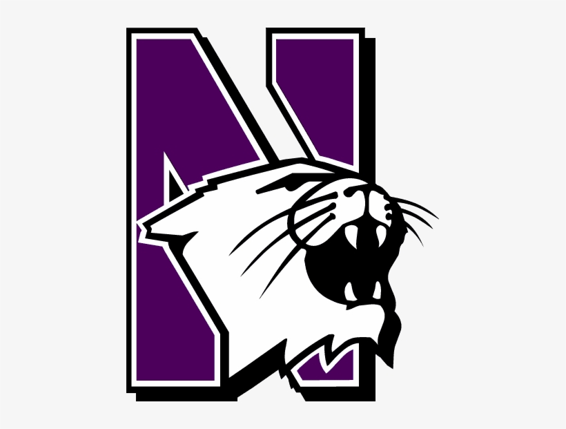 2012 - Northwestern Wildcats, transparent png #474130