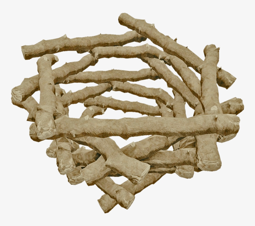 Portable Network Graphics, transparent png #474215