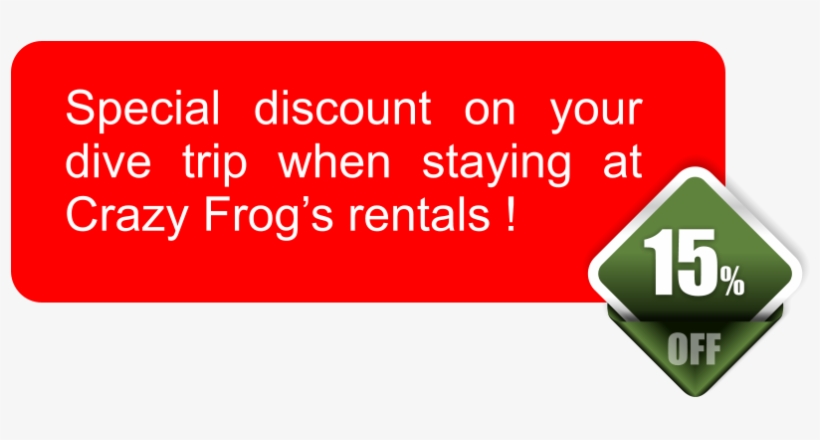 Vat Included - Nca Swim, transparent png #475929