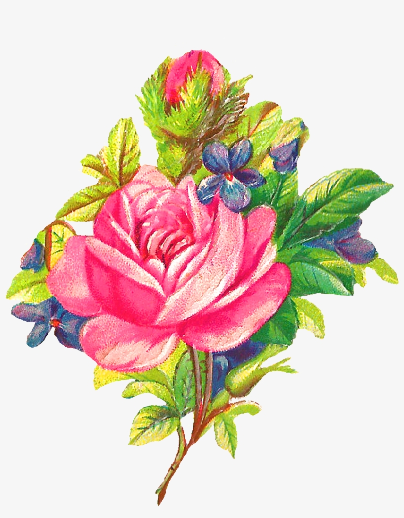 Rose Flower Clipart At Getdrawings - Rose Download, transparent png #476150