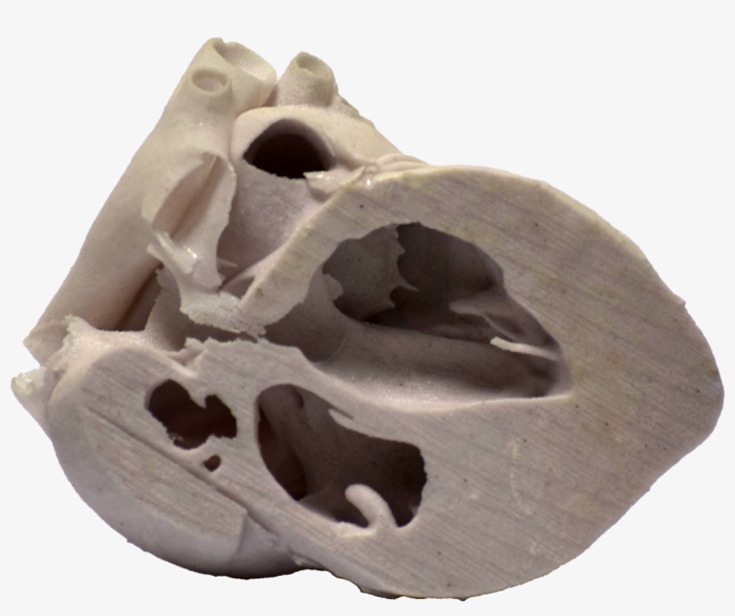 3d Printed Heart Cross Section - Igneous Rock, transparent png #476652