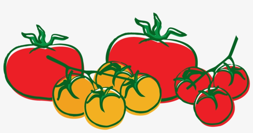 Tajin Jalapeno Pepper - Home Farmer Tomato Seed Kit, transparent png #477561
