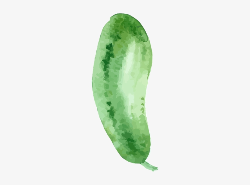 Cucumber, transparent png #477757