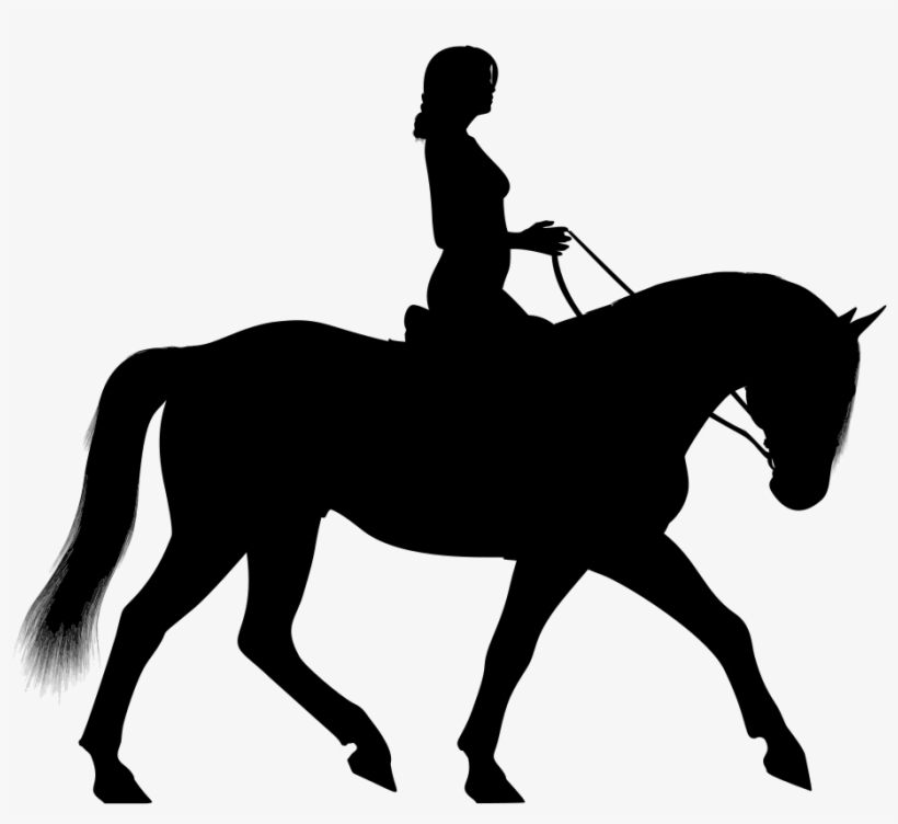 Silhouette,black,female - Horse And Rider Silhouette, transparent png #478350