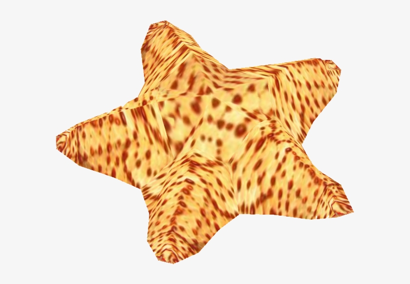 Cushion Sea Star - Starfish, transparent png #479525