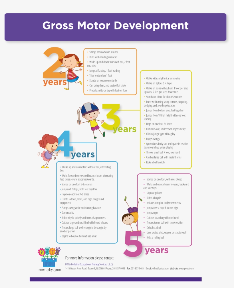 Gross Moter Development Infographic - Gross Motor Skill, transparent png #4702955