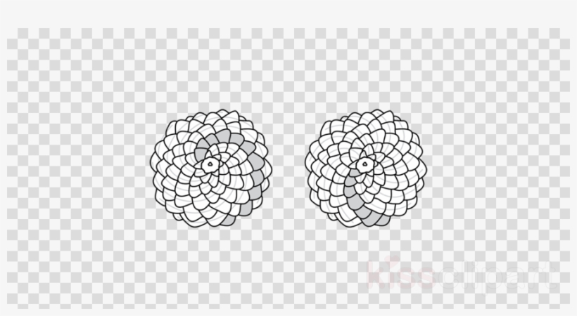 Download Library Clipart Phyllotaxis Golden Ratio Conifer - Clip Art, transparent png #4704838