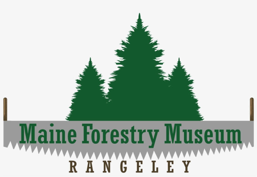 Museum - Illustration, transparent png #4705793