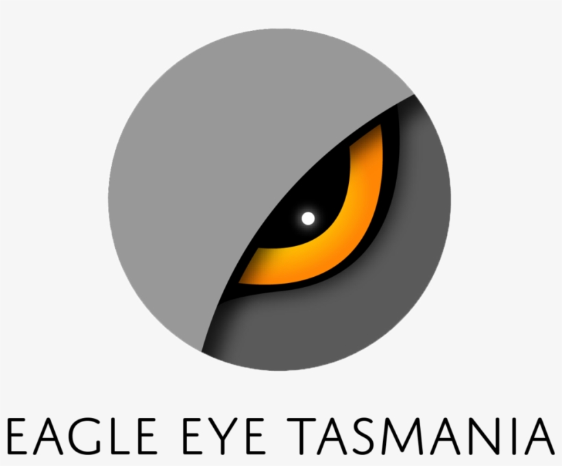 Eagle Eye Png - Eagle Eye, transparent png #4705799