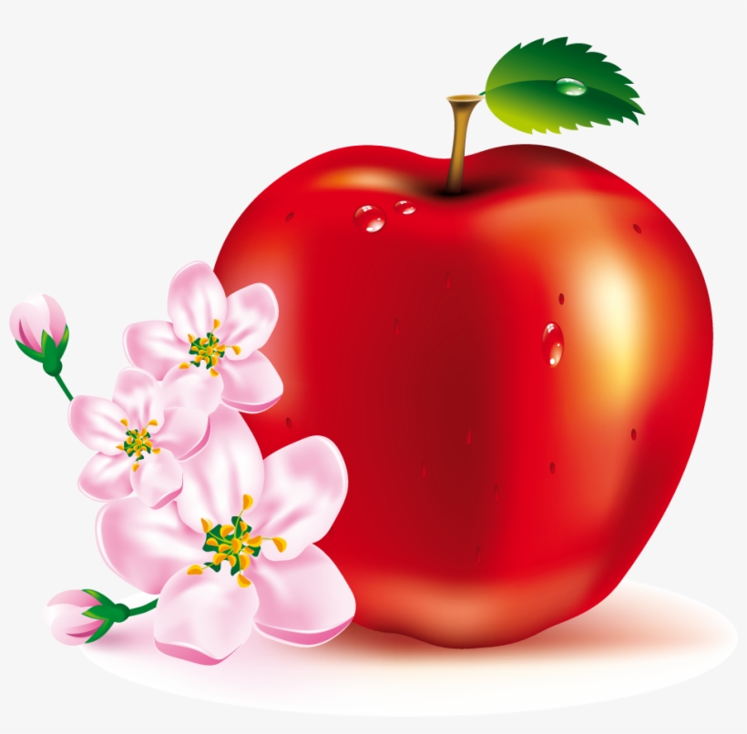 Services - Red Apple Images Download, transparent png #4710947