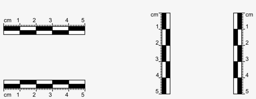 Open - Parallel, transparent png #4711174