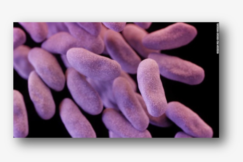 Scope Superbug Found - Carbapenem Resistant Enterobacteriaceae Cre, transparent png #4711337
