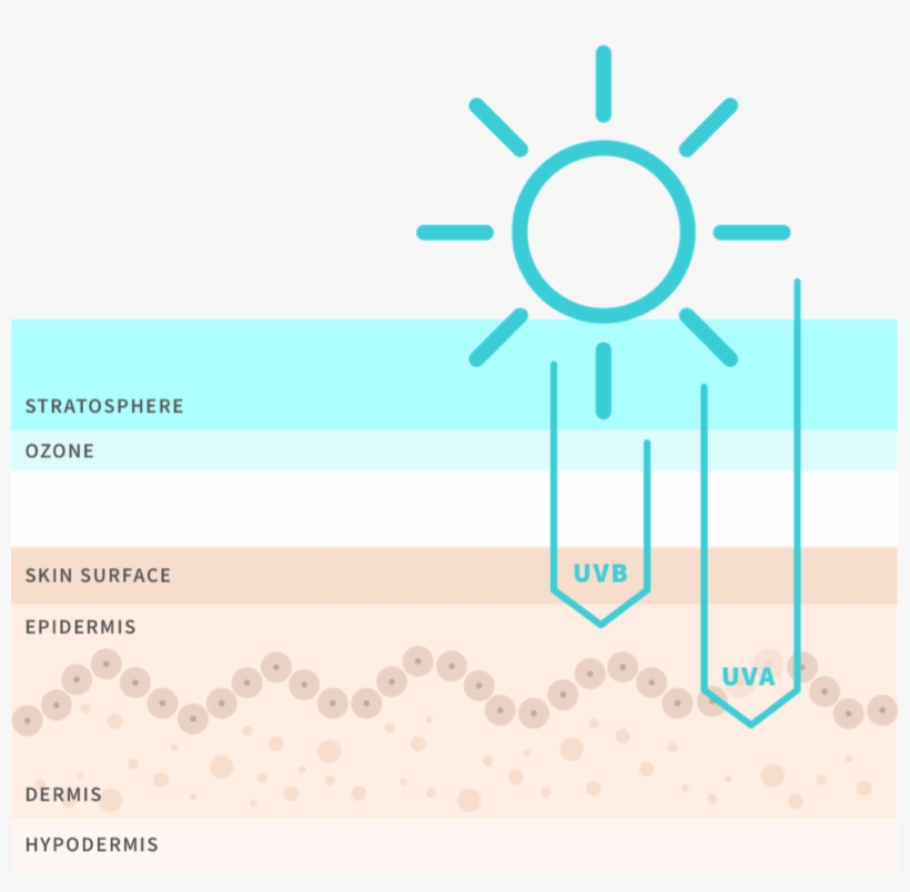 Sun Care Image - Simple Sun Vector, transparent png #4711863