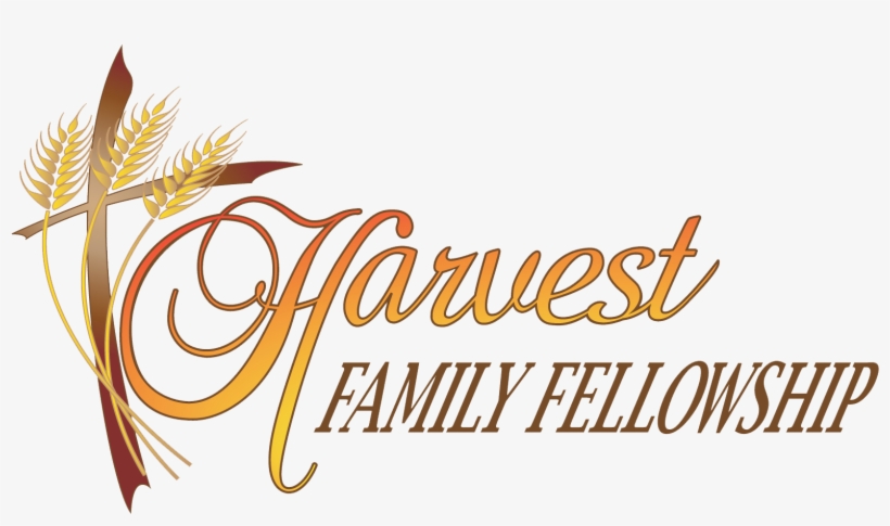 Galatea - The Blessings Shop, transparent png #4712031