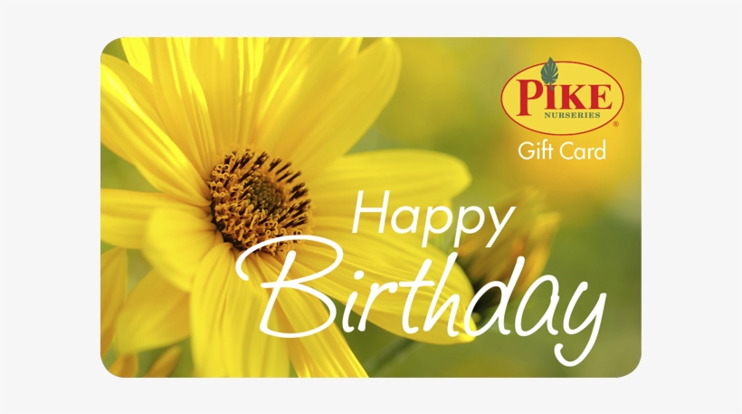 Birthday Gift Card - Birthday, transparent png #4712200