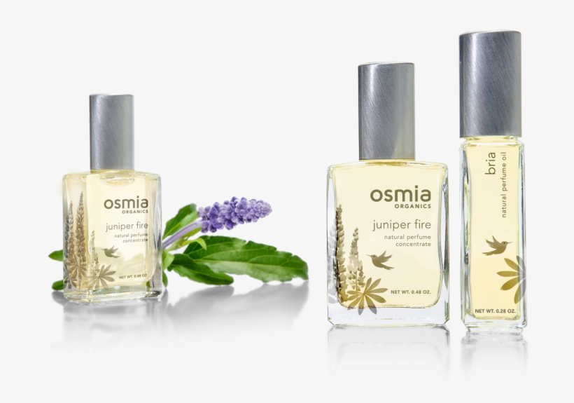 Osmia Organics Perfume - Perfume, transparent png #4712450