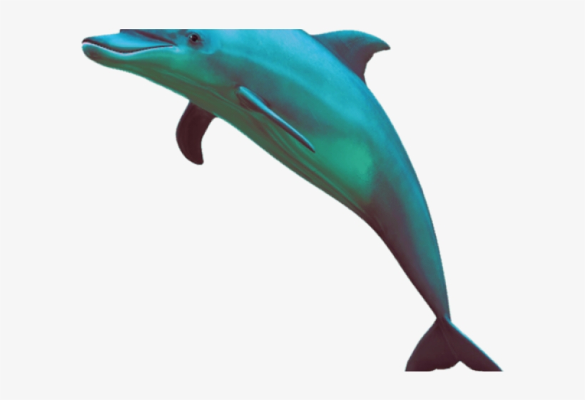 Vaporwave Dolphin Png, transparent png #4712451
