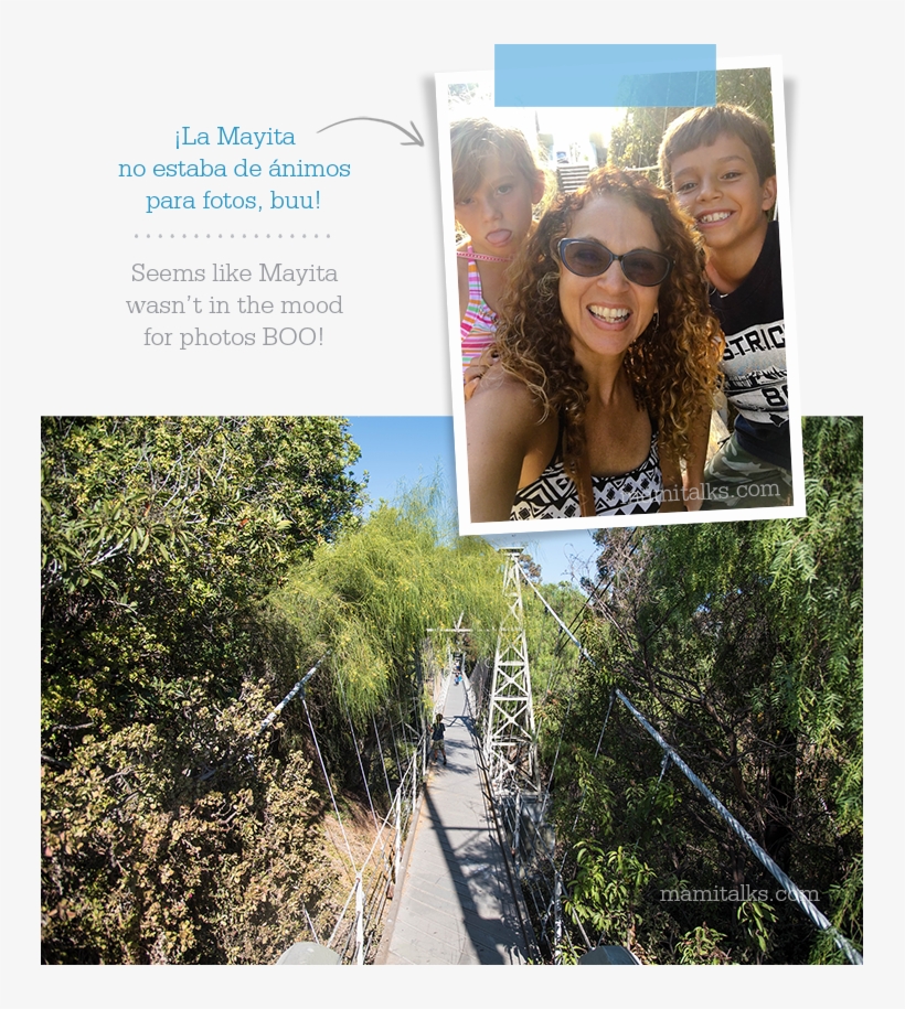 Adventure At Bruce St - Tree, transparent png #4715723