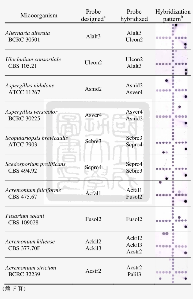 Species Cross-hybridized To The Probes Designed For - Number, transparent png #4716158