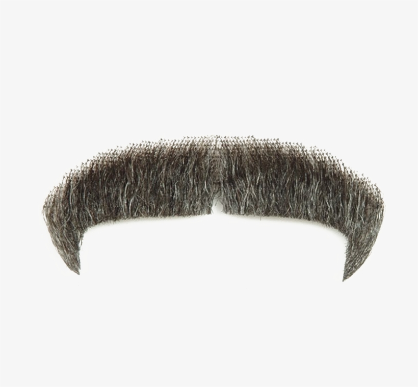 Moustache Png Image Transparent - Real Mustache Png Transparent, transparent png #4717460