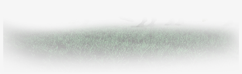 Kadabra - Grass, transparent png #4718442