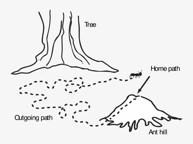 Clip Arts Related To - Camino De Hormigas Dibujo, transparent png #4719495