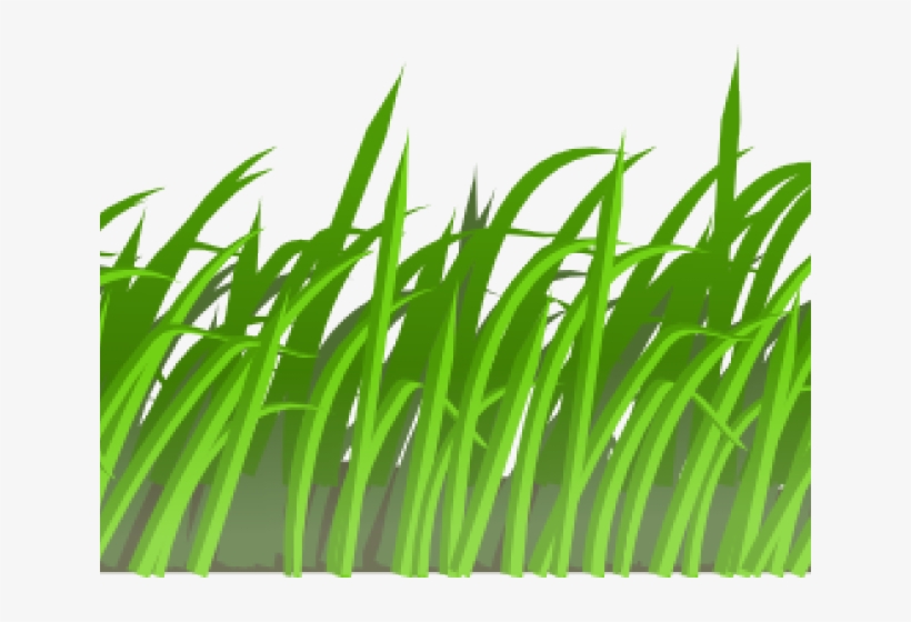 Sea Grass Clipart Jungle Grass - Transparent Cartoon Grass - Free  Transparent PNG Download - PNGkey