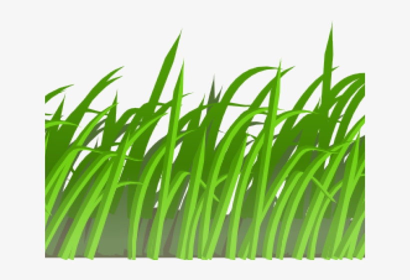 Sea Grass Clipart Jungle Grass - Transparent Cartoon Grass, transparent png #4720016