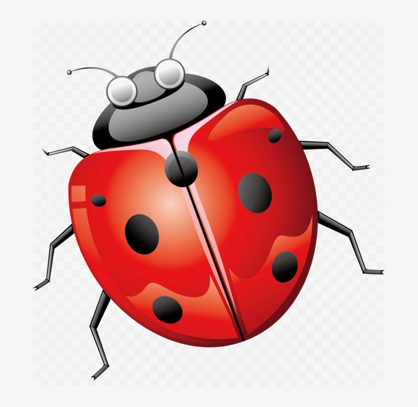 Miraculous Ladybug Buttons - Miraculous Ladybug Png - Free Transparent PNG  Download - PNGkey