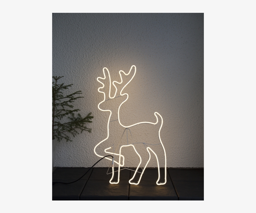 Silhouette Neoled - Led Dekofigur Neoled Rensdyr Silhuet, transparent png #4721486