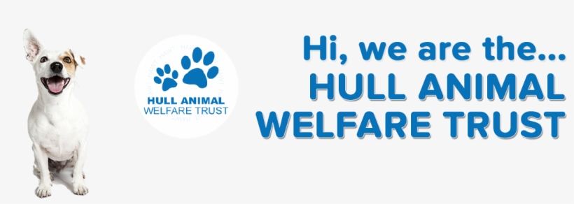 Neutering Dogs, Cats And Small Animals - Aspectek Bark Control Bark Stop Classic Hr1331, transparent png #4722916
