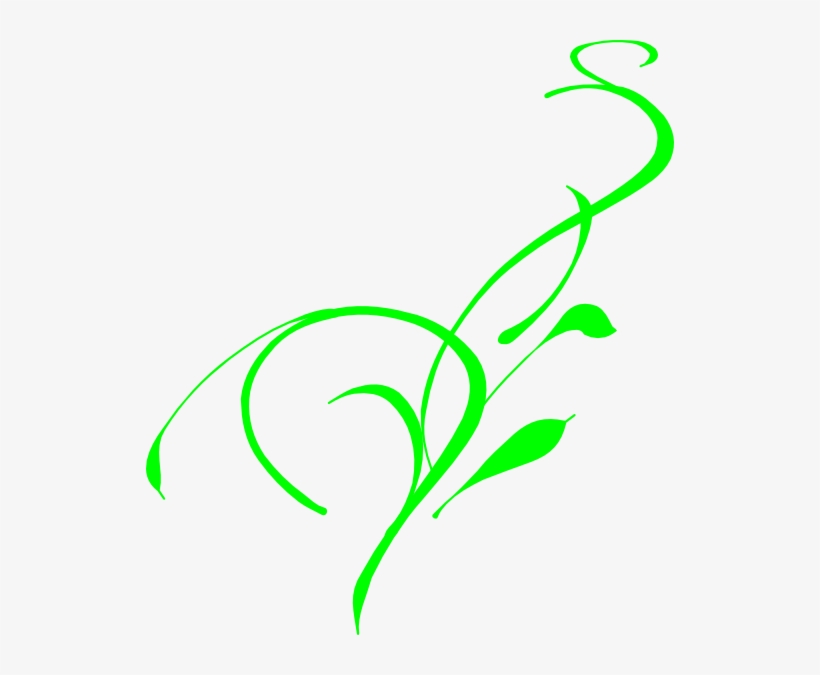 Vine Clip Art, transparent png #4723022
