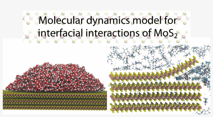 The Large-scale Synthesis Of Molybdenum Disulfide Using - Mos2 Water Md Simulation, transparent png #4724034