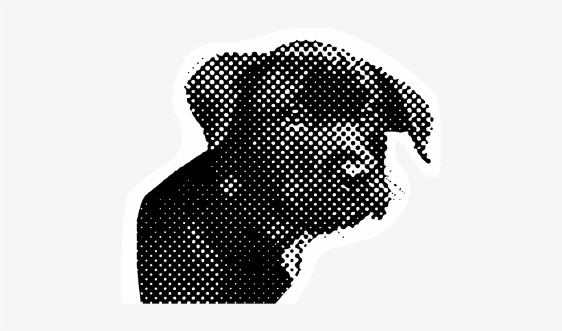 African Elephant, transparent png #4724399