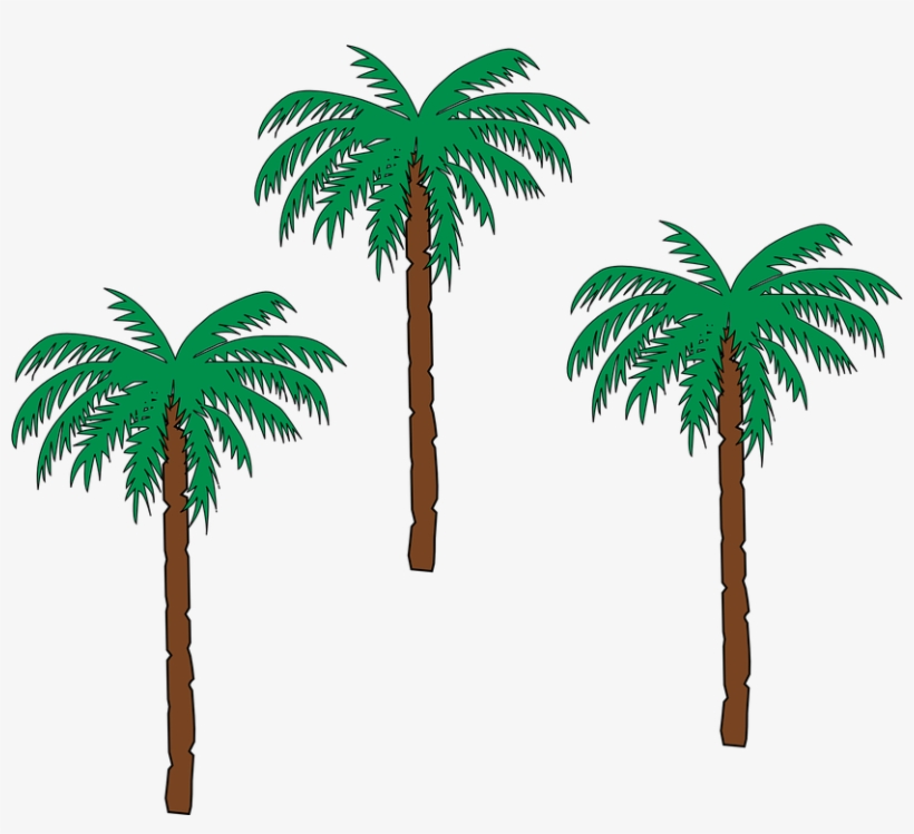 Palm Tree Png 22, Buy Clip Art - Small Palm Tree Clipart, transparent png #4726285