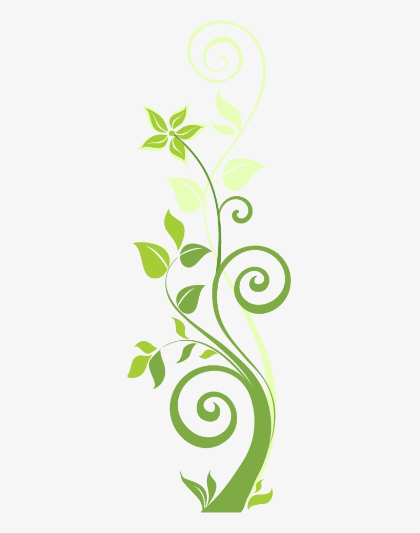 Christening Photography Liverpool, transparent png #4726867