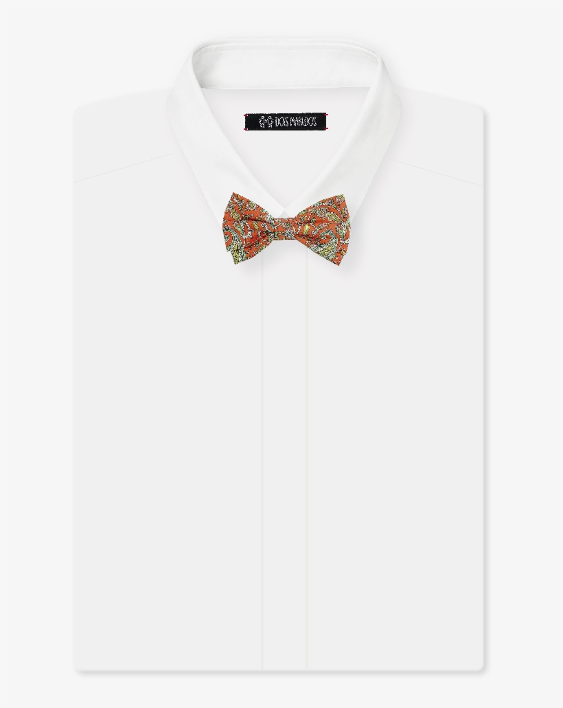 Gravata Borboleta Alfredo - Bow Tie, transparent png #4727824
