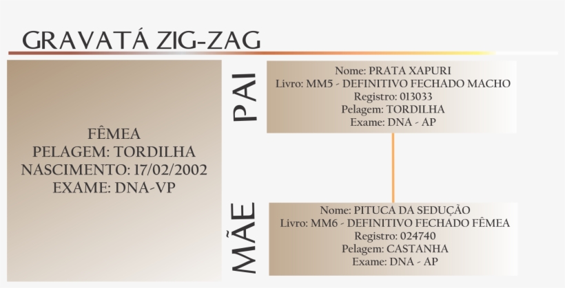 Compartilhar - Mangalarga Marchador, transparent png #4727960