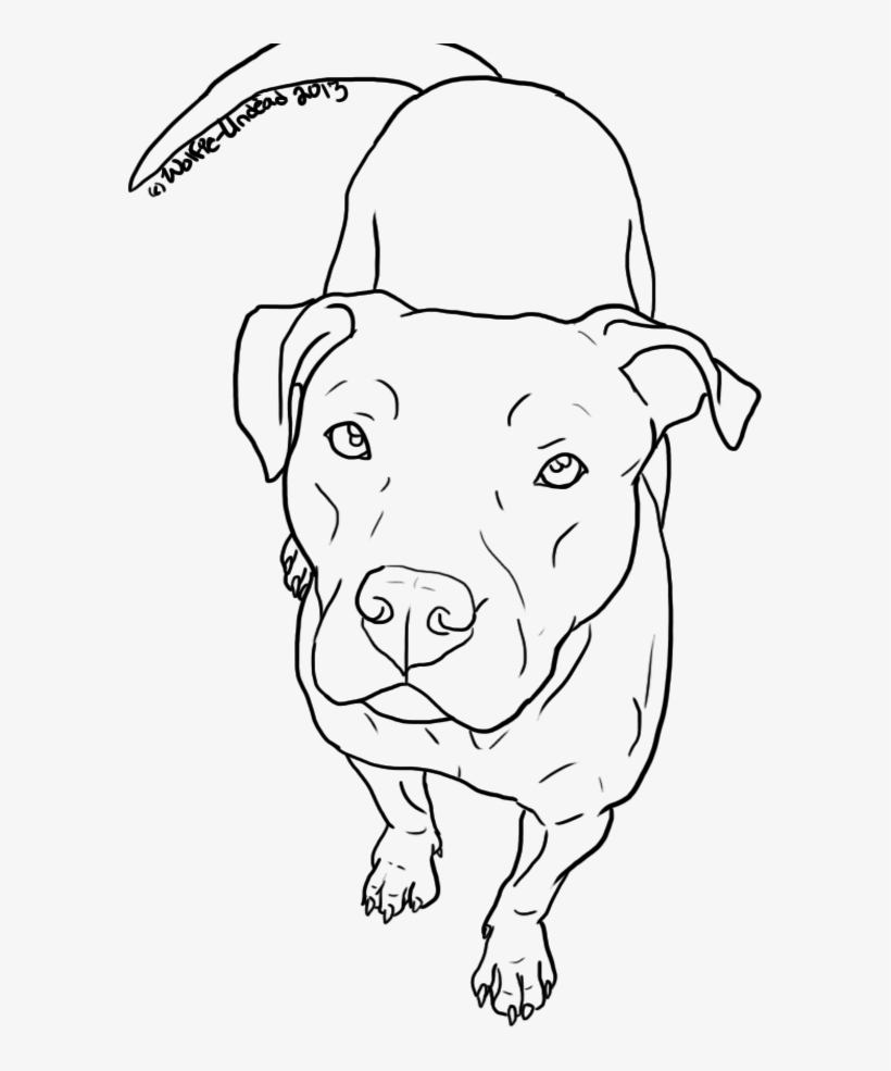 Pitbull Dog Head Png - Easy To Draw Pitbull, transparent png #4728599