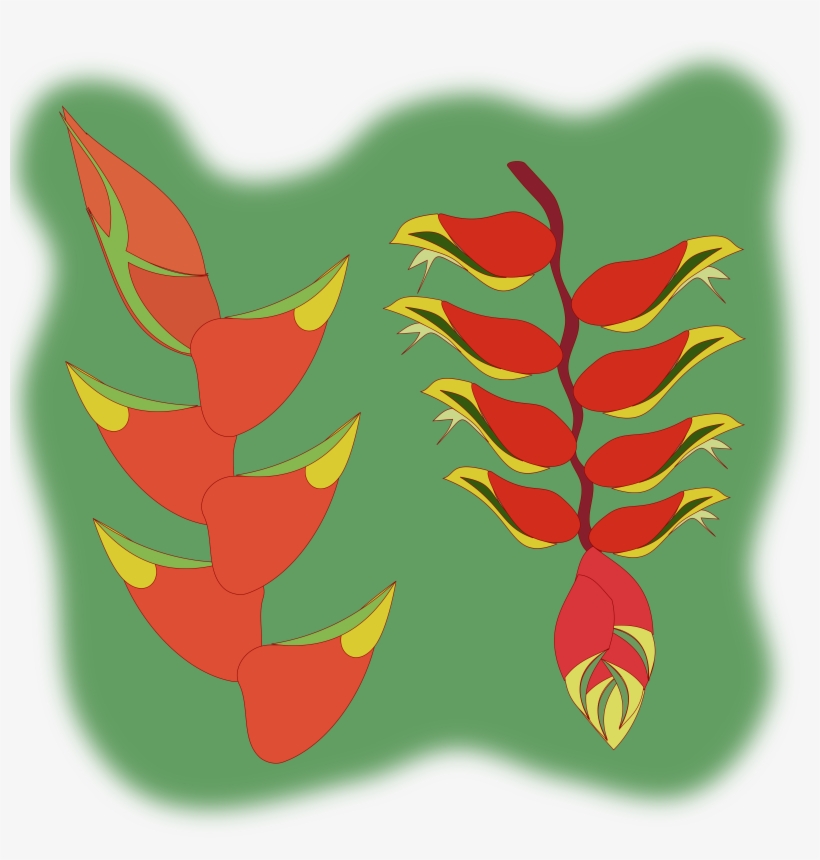 This Free Icons Png Design Of Heliconia Flower, transparent png #4729755