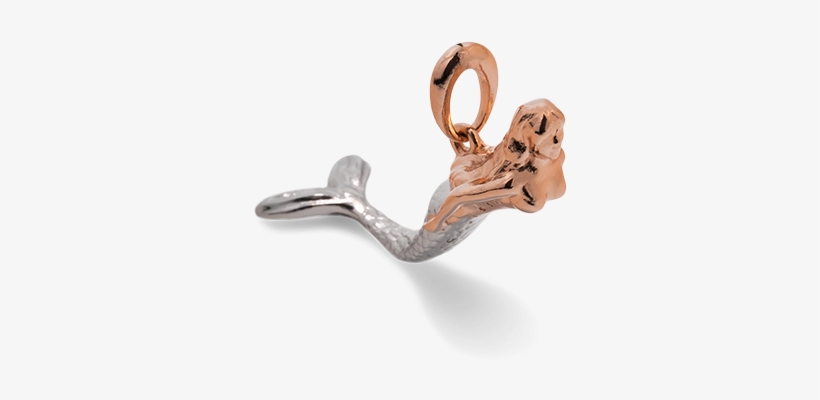 Ossidabile Mermaid Tail Hammerhead Shark Pictures Jpg - Newton, transparent png #4730077