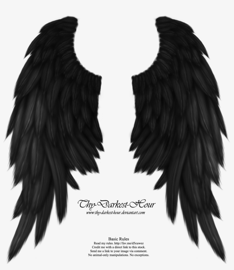 Real Angel Win Angel Wings Png - Black Angel Wings Png, transparent png #4730350