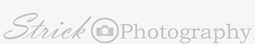 Logo Wide Light, transparent png #4733432