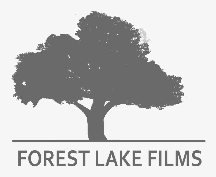 Http - // - Facebook, transparent png #4734943