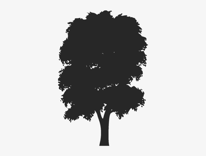 Silhouette Forest Trees Clipart Tree Giant Sequoia - Vector Silhouette Mango Clip Art Png, transparent png #4734955